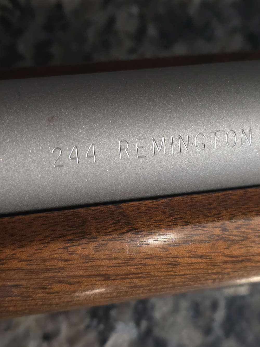 Mauser Action Bench Rest .244 Remington -img-19