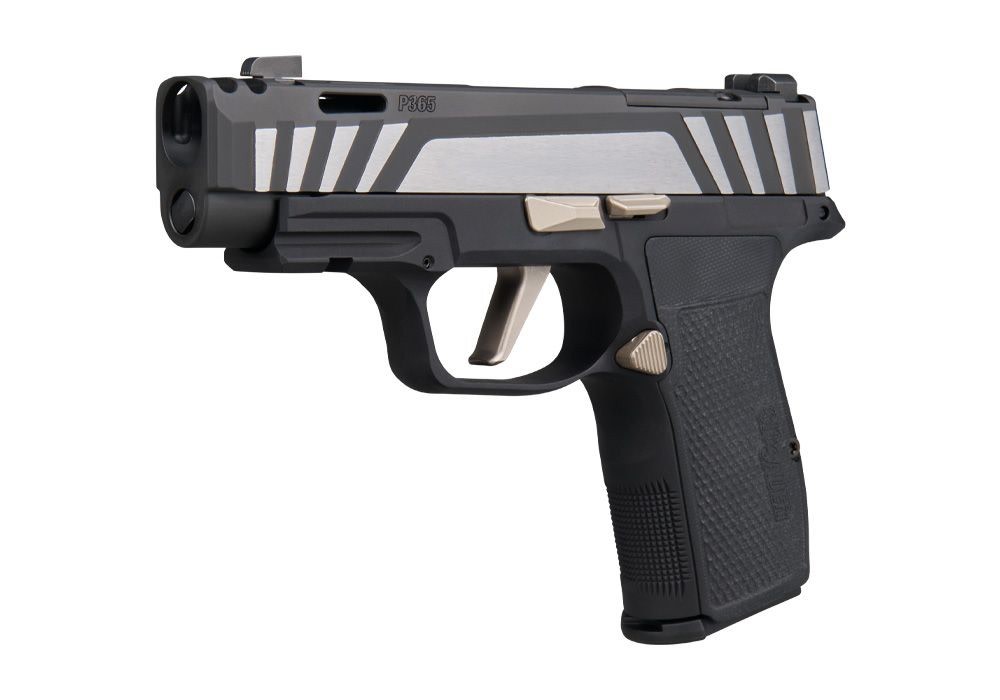SIG Sauer P365 AXG Equinox 9mm 3.1in 3x12-Round Black-img-0