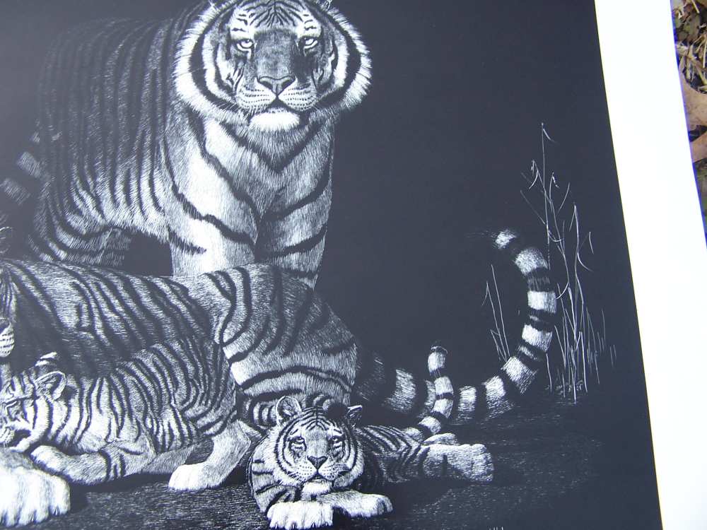 Tiger art lithograph print signed by Darrell Wirkkula - gun room Art-img-6