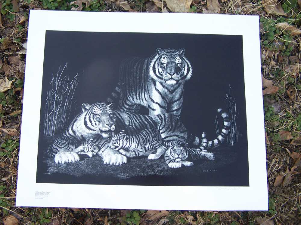 Tiger art lithograph print signed by Darrell Wirkkula - gun room Art-img-4