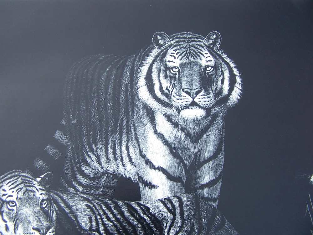 Tiger art lithograph print signed by Darrell Wirkkula - gun room Art-img-2
