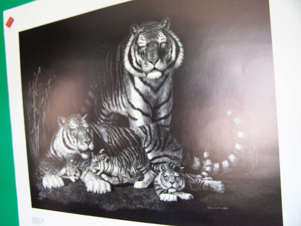 Tiger art lithograph print signed by Darrell Wirkkula - gun room Art-img-1