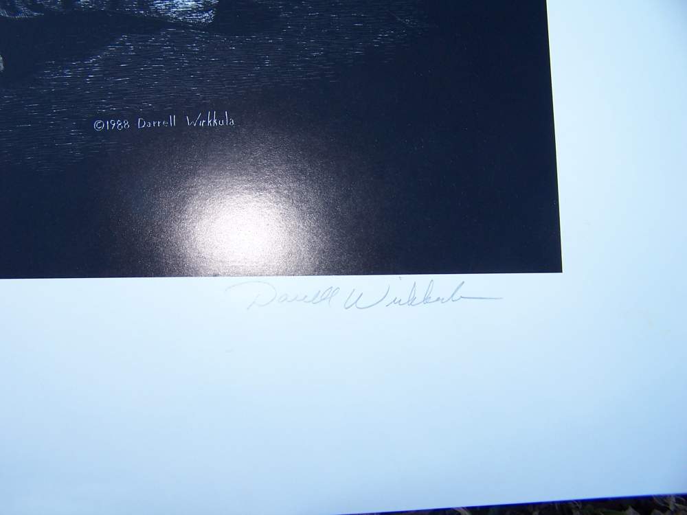 Tiger art lithograph print signed by Darrell Wirkkula - gun room Art-img-3