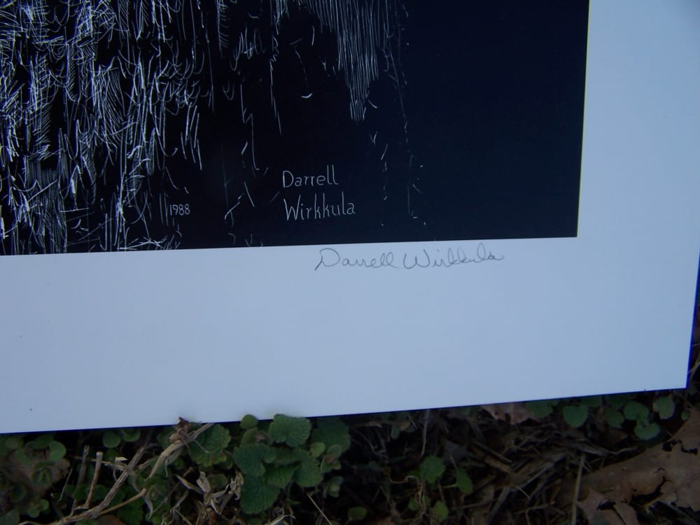 Owl art, Darrell Wirkkula  artist signed print, must see.-img-5