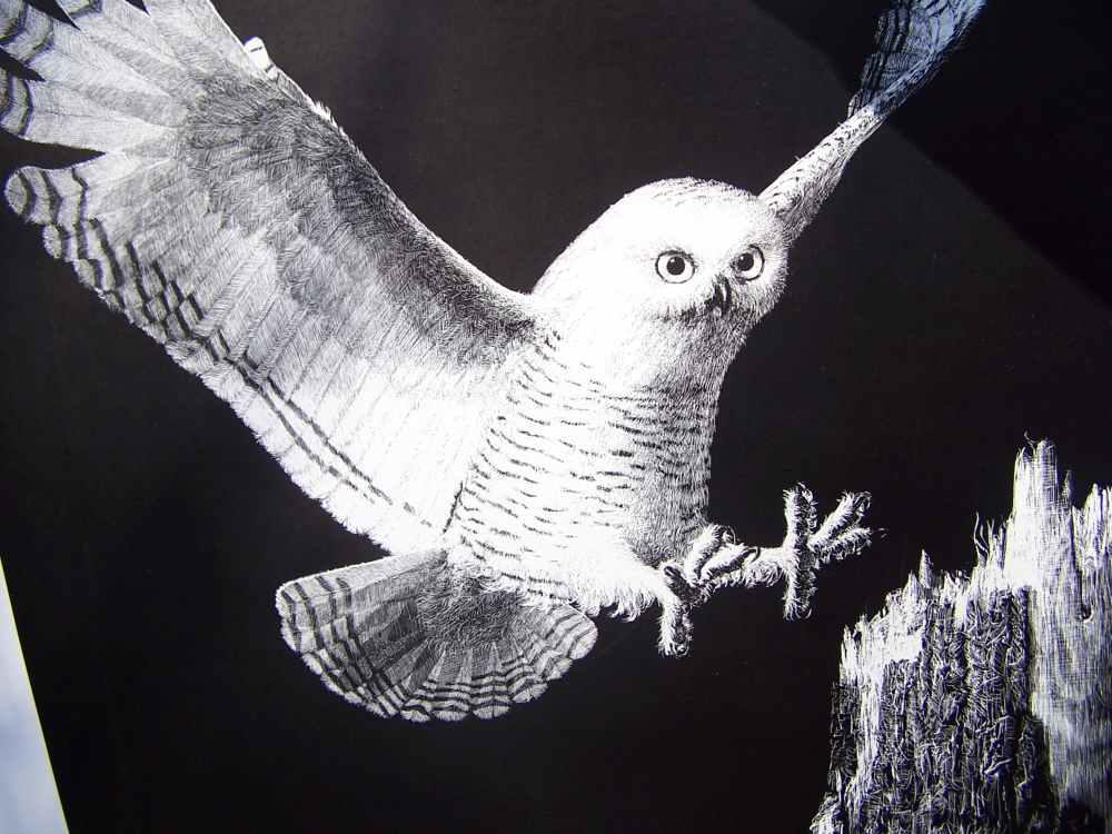 Owl art, Darrell Wirkkula  artist signed print, must see.-img-1