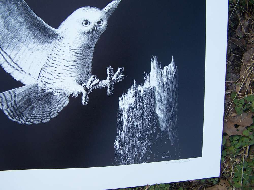 Owl art, Darrell Wirkkula  artist signed print, must see.-img-4