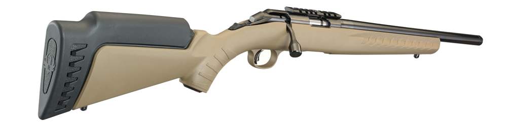 Ruger American Rimfire 22 LR-img-3