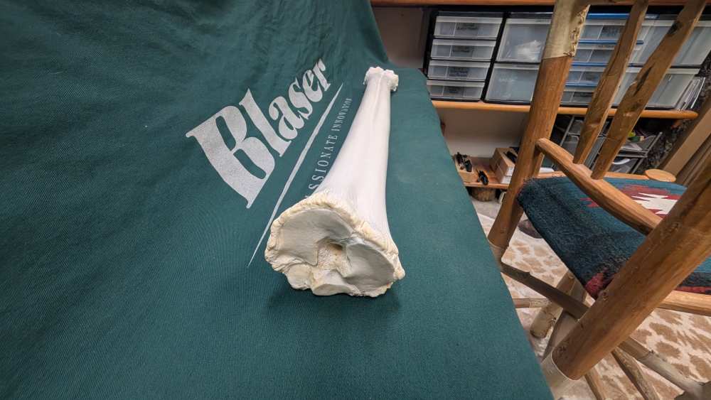GIRAFFE LEG BONE. PLAIN-img-1