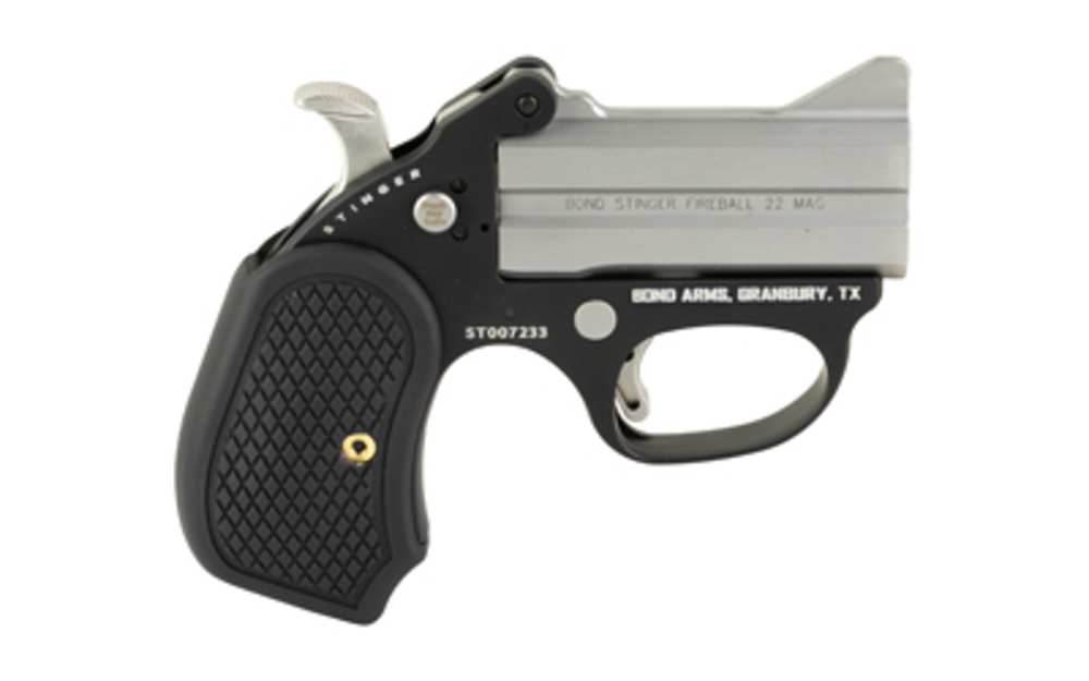 Bond Arms Stinger, 22 WMR-img-2