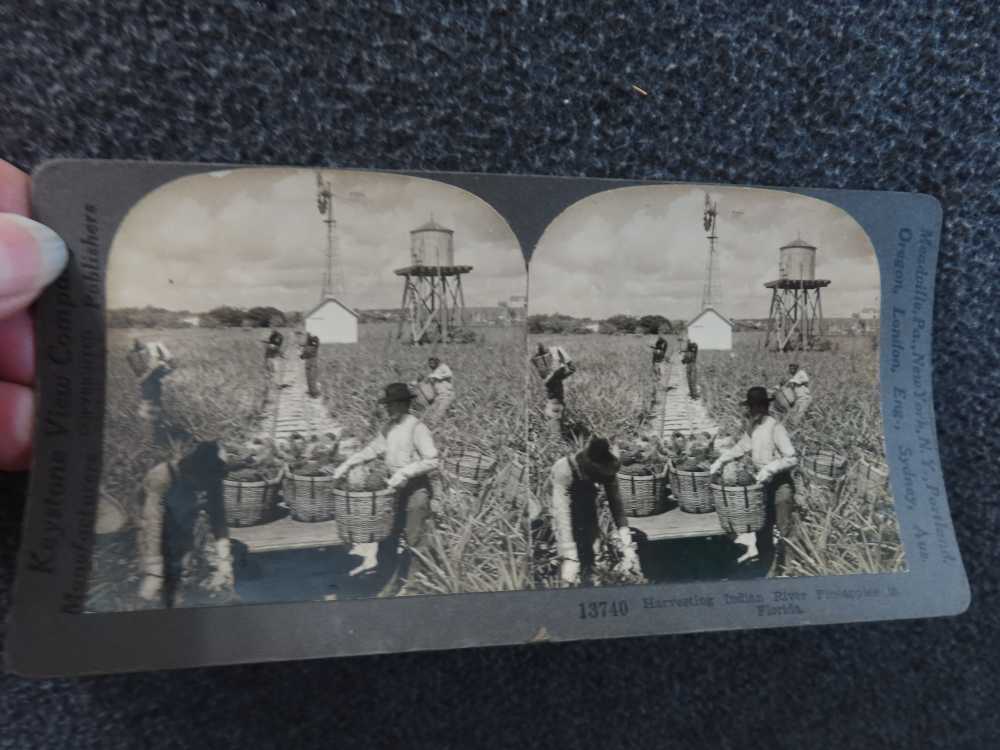 36-WWI ERA STEREO VIEW CARDS-"TOUR OF THE WORLD" IN ORIGINAL CASE-img-7