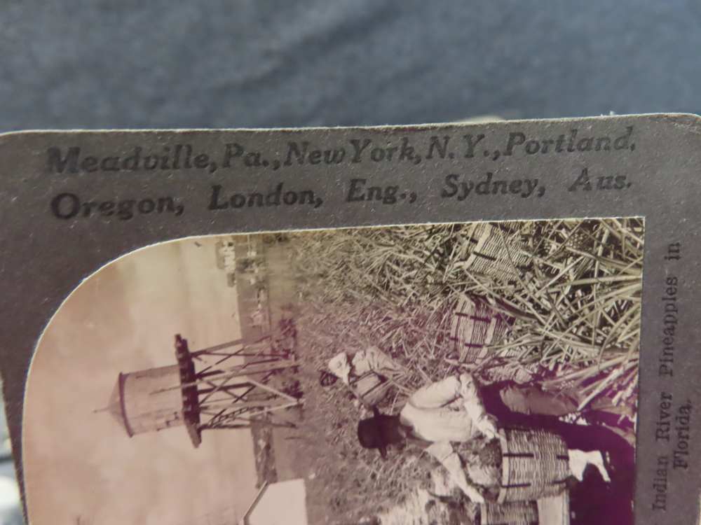 36-WWI ERA STEREO VIEW CARDS-"TOUR OF THE WORLD" IN ORIGINAL CASE-img-9