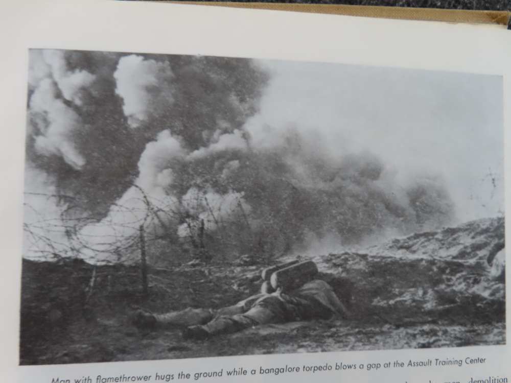WWII ERA 29 LET'S GO! A HISTORY OF THE 29th INFANTRY DIVISION IN WWII-img-7