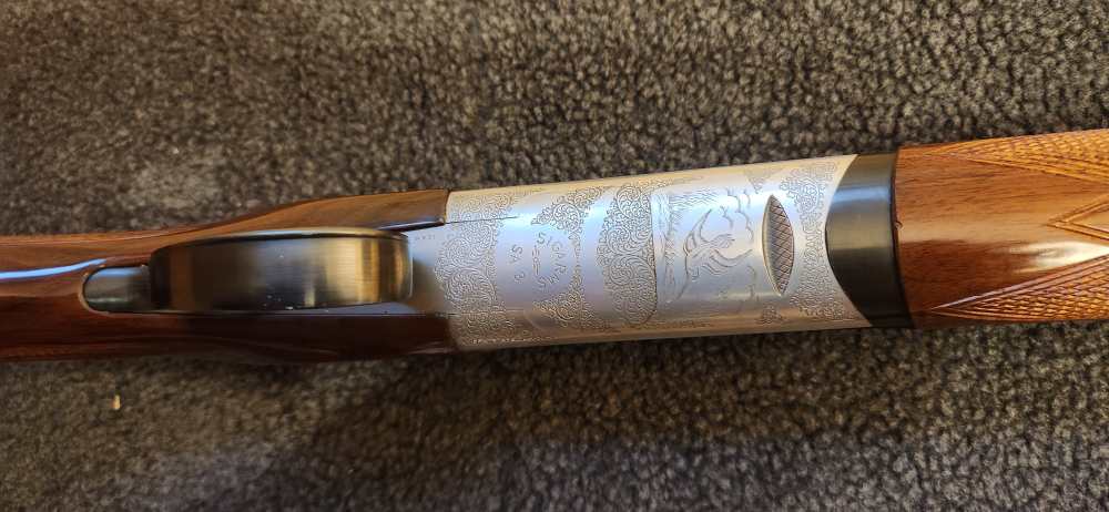 Sig Arms SA3 12ga O/U -img-12