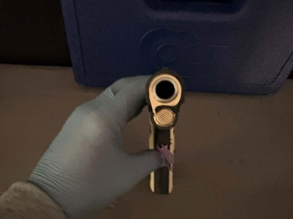 Colt 1911 Government 45Acp Black & Gold .01 Start NR Penny Auction-img-5