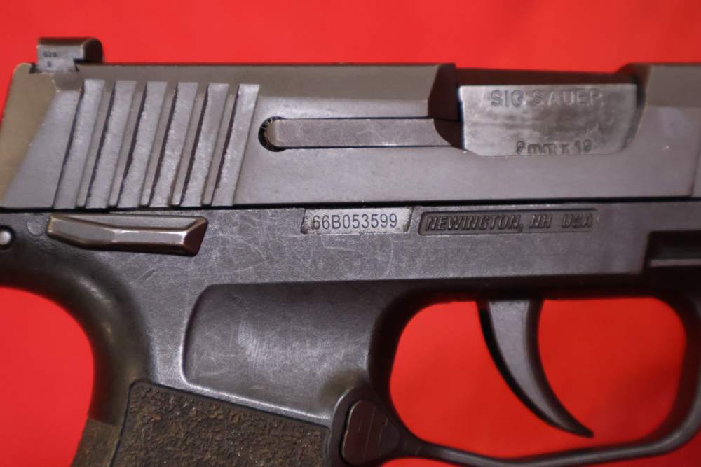 Sig Sauer P365 3.1" 9mm-img-16