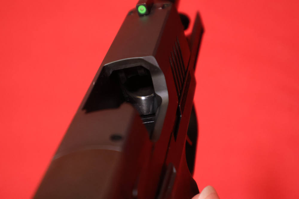 Sig Sauer P365X 9mm 3.1"-img-13