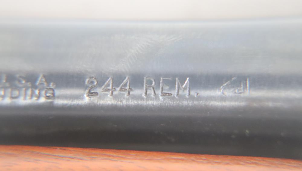 REMINGTON 760 GAMEMASTER PUMP ACTION .244 REM W/ WEAVER K4 SCOPE-img-86