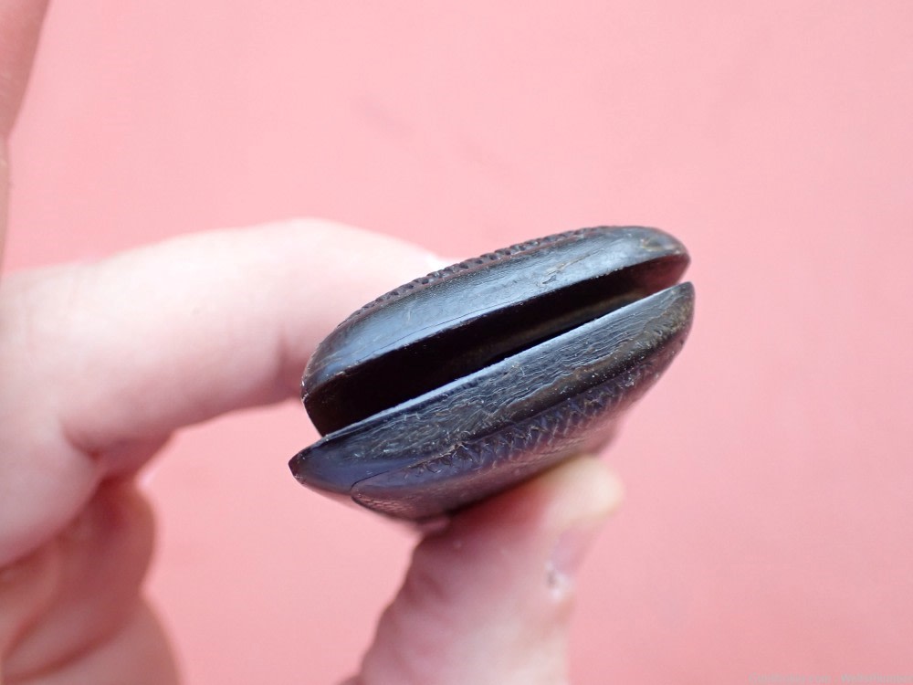 FN BROWNING MODEL 1910 FACTORY EARLY HORN GRIPS WITH SCREW-img-5