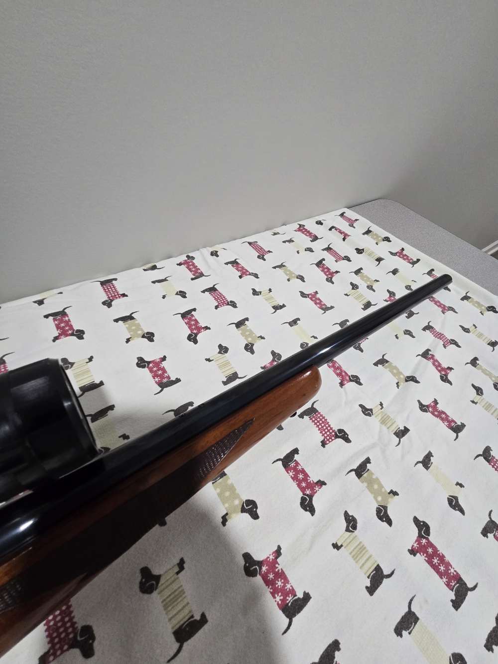 Ruger M77 heavy varmint special 243 win-img-2
