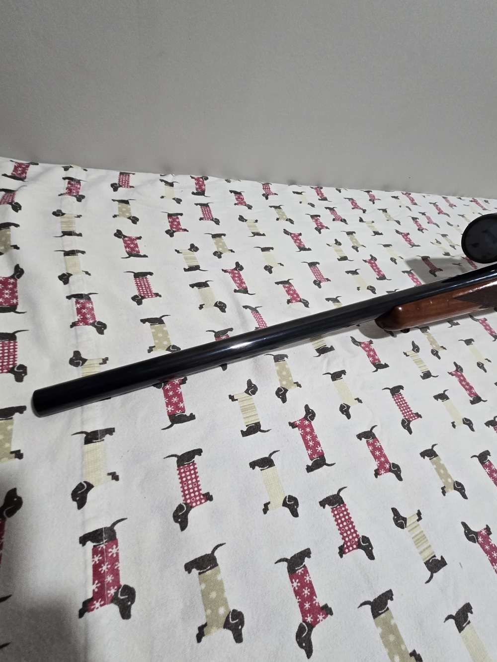 Ruger M77 heavy varmint special 243 win-img-4