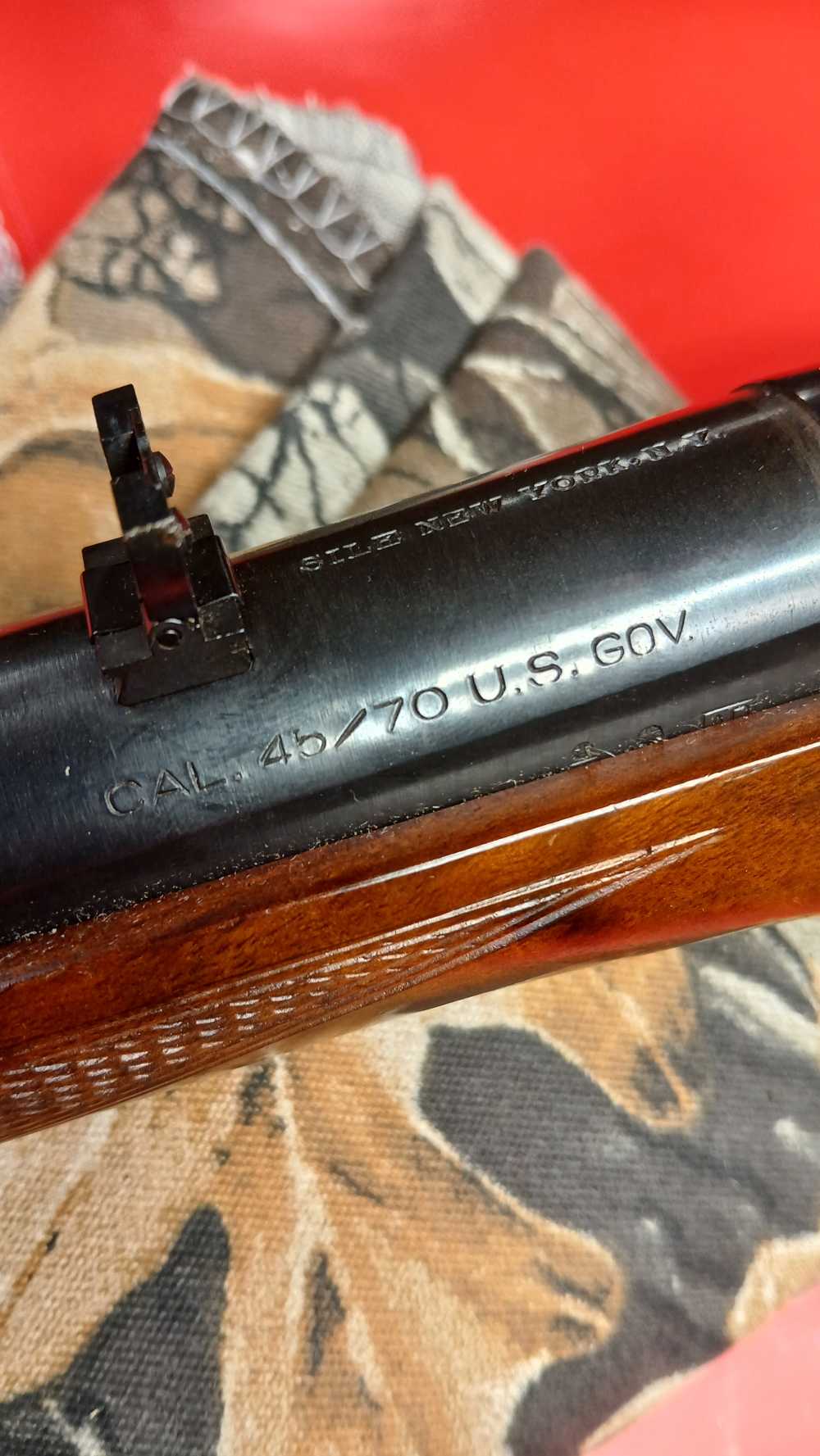 IAB - italy sharps - carbine 45-70 govt. -img-20