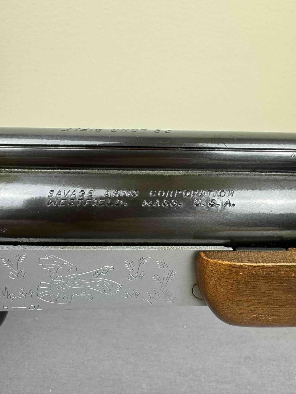 Savage 24H-DL combination 20ga / 22lr-img-8