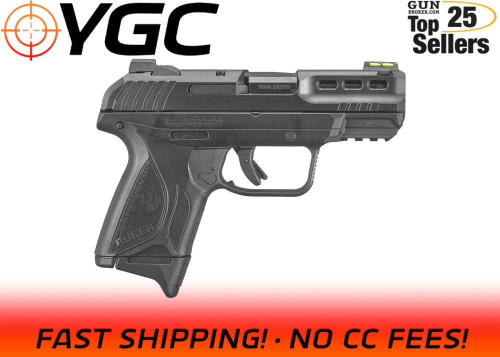 Ruger Security-380 380 ACP 3839-img-0