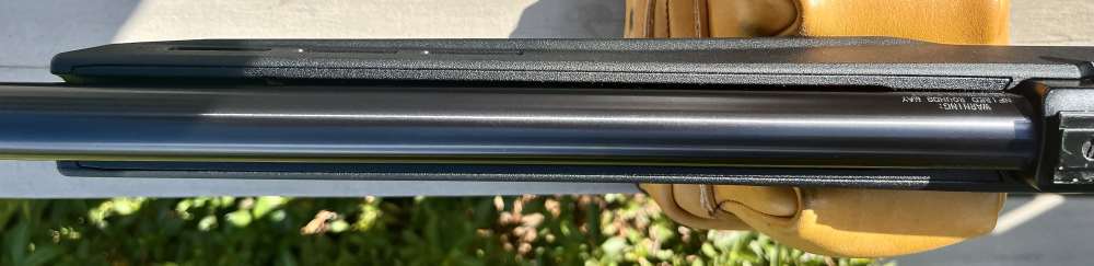 10/22 Ruger Custom Build, Magpul Stock, Bull Barrel, BX trigger-img-11