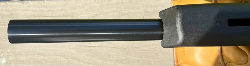 10/22 Ruger Custom Build, Magpul Stock, Bull Barrel, BX trigger-img-10
