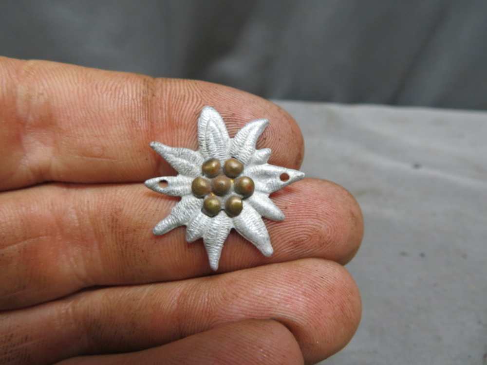WWII GERMAN EDELWEISS MOUNTAIN UNIT INSIGNIA-NICE DETAIL & FINISH-img-0