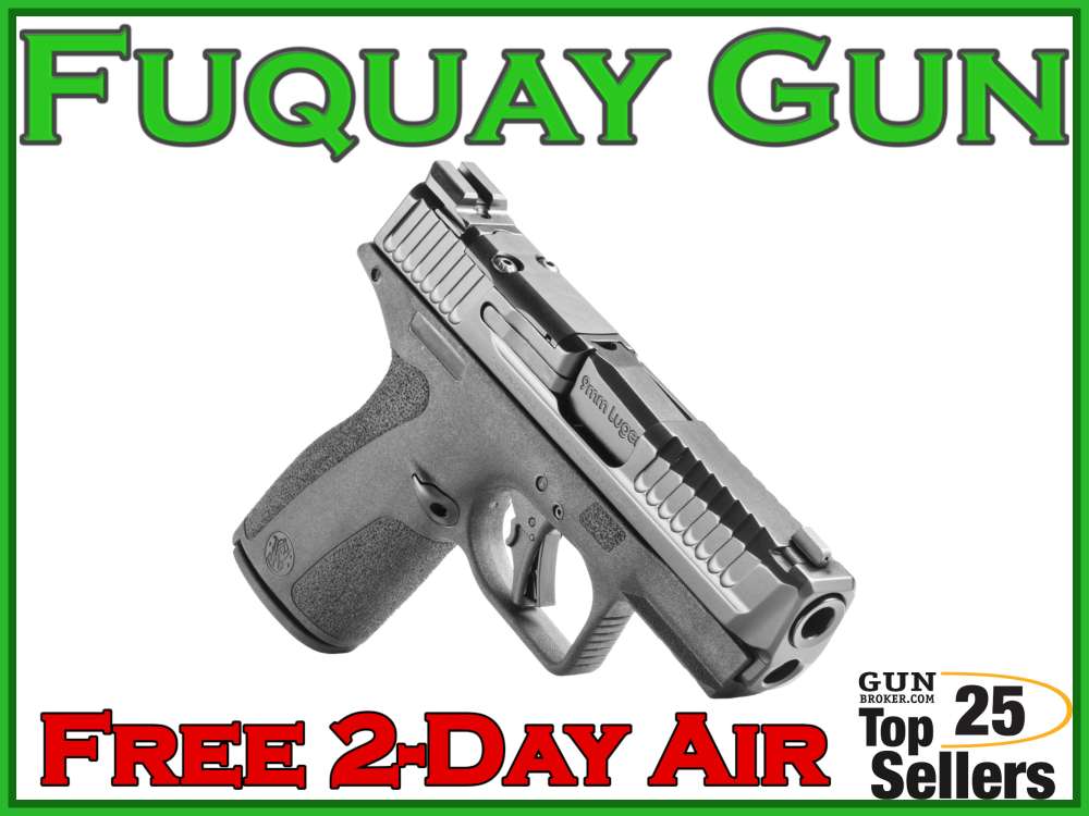S&W M&P Shield X TS-img-2