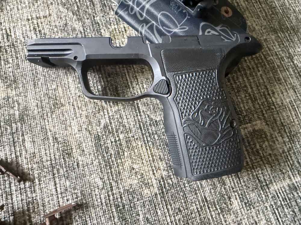 Sig Sauer P365 Rose AXG 9mm Metal Grip Module & Mag P365X P365XL Gold Parts-img-6