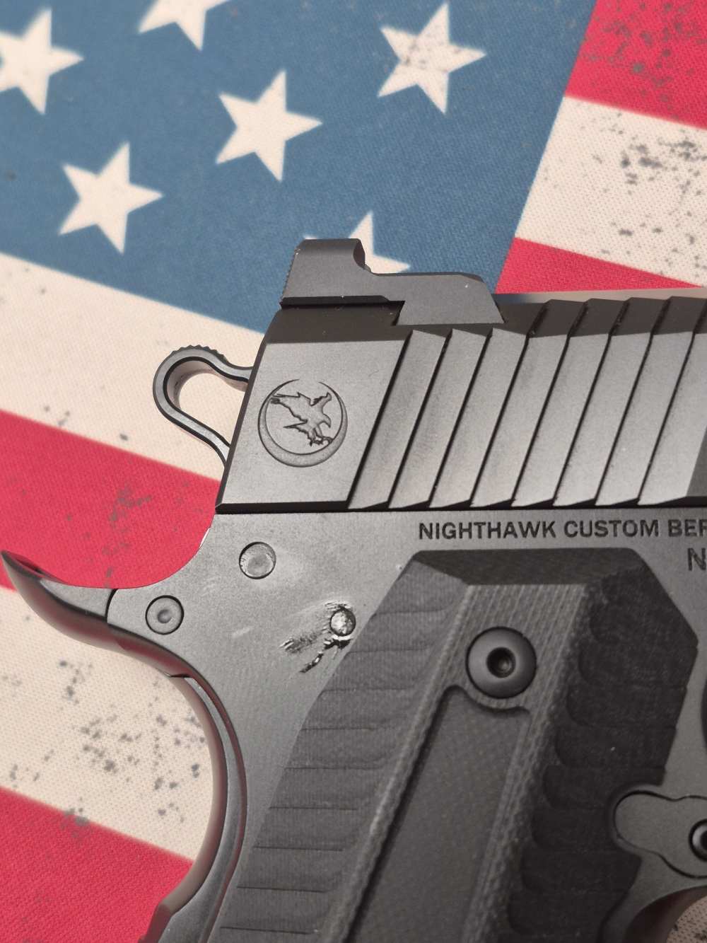 PENNY! BEAUTIFUL LIKE NEW NIGHTHAWK CUSTOM AGENT 2 10MM IN BAG 3 MAGS 99%-img-5