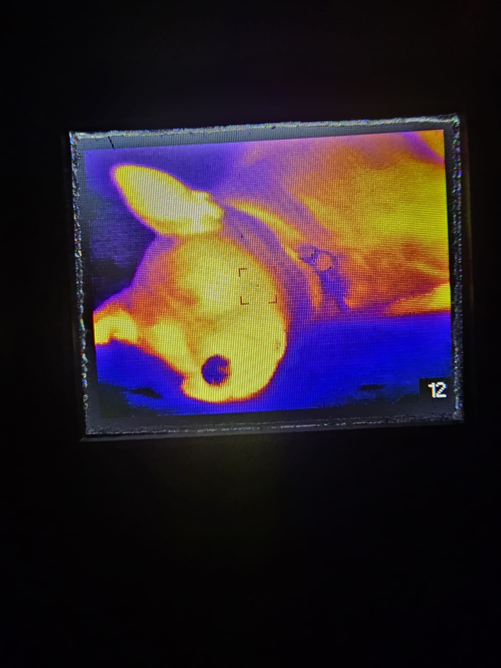 Sig Sauer Echo 1 Thermal Scope-img-17