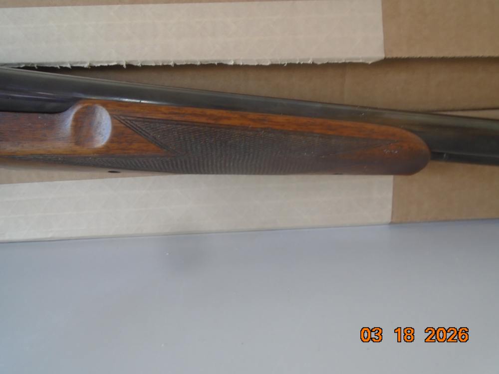 V Bernadelli   for Charles Daly-img-8