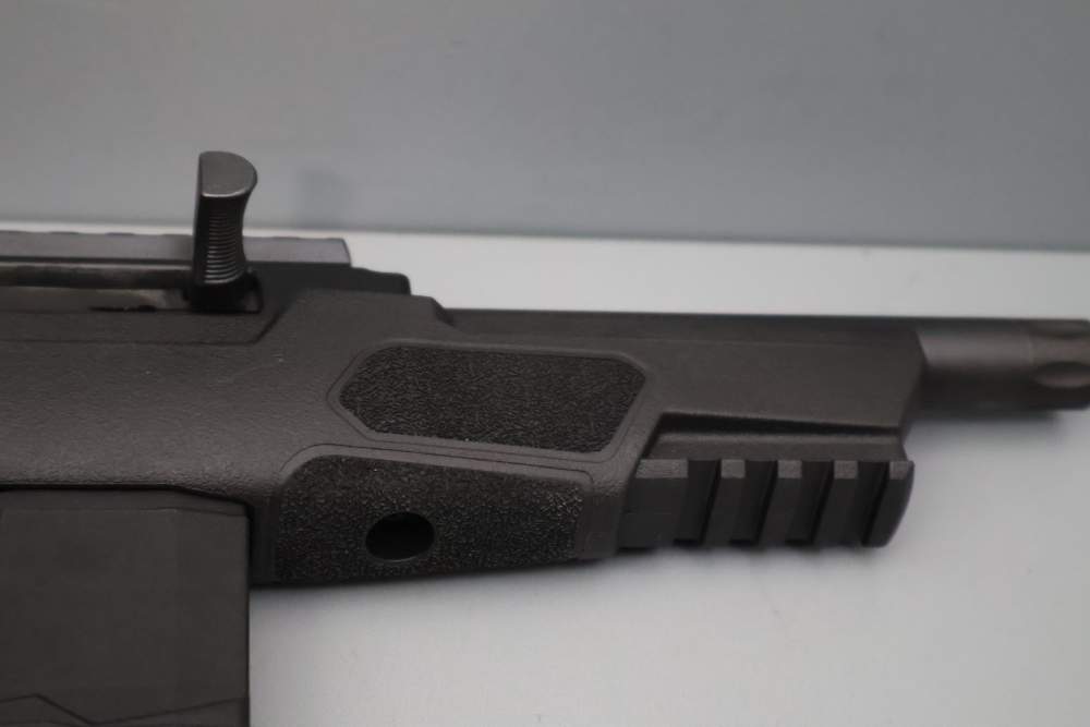 Rossi RS22P 6" .22 LR w/Brace -img-38
