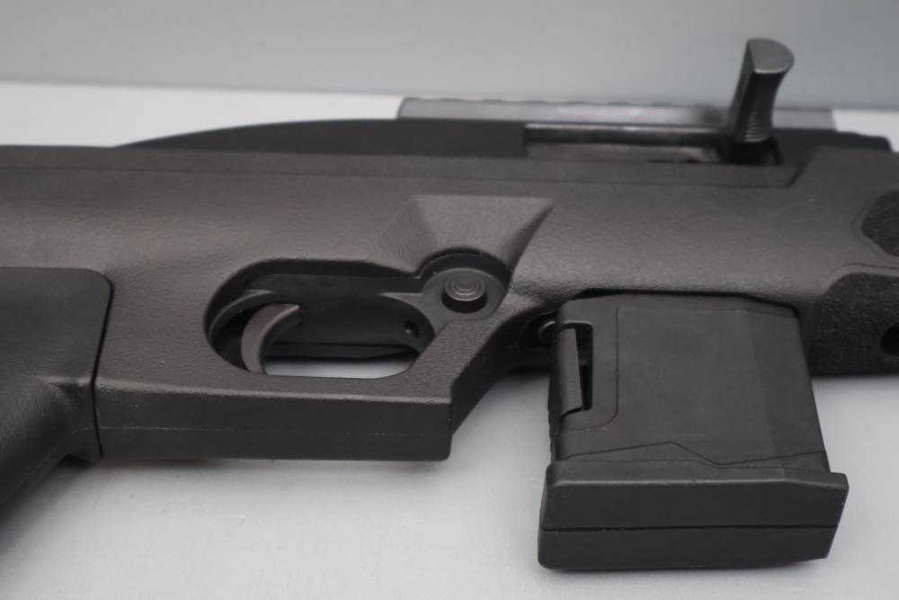 Rossi RS22P 6" .22 LR w/Brace -img-36