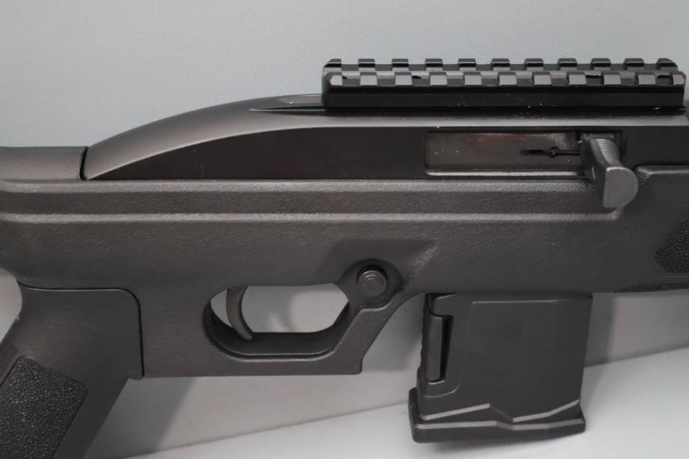 Rossi RS22P 6" .22 LR w/Brace -img-18