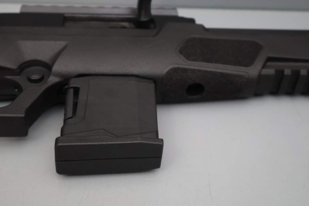 Rossi RS22P 6" .22 LR w/Brace -img-37