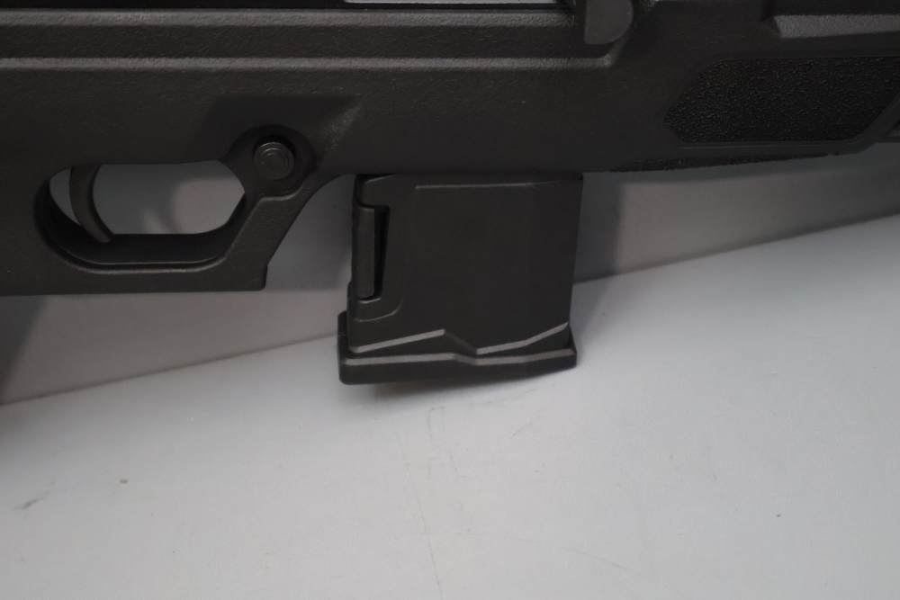 Rossi RS22P 6" .22 LR w/Brace -img-17