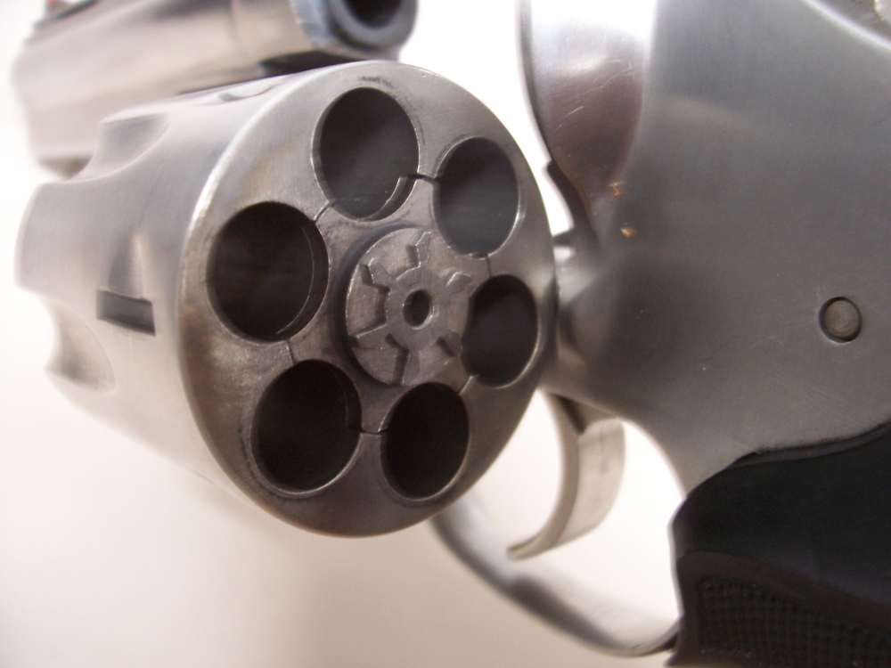 Dan Wesson 744 6" .44 Magnum with holster-img-11
