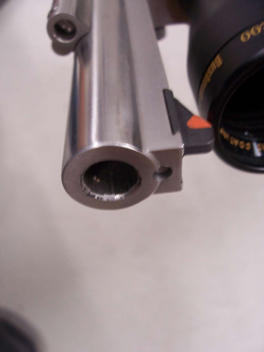 Ruger Super Blackhawk Hunter .44 with Bushnell scope-img-5