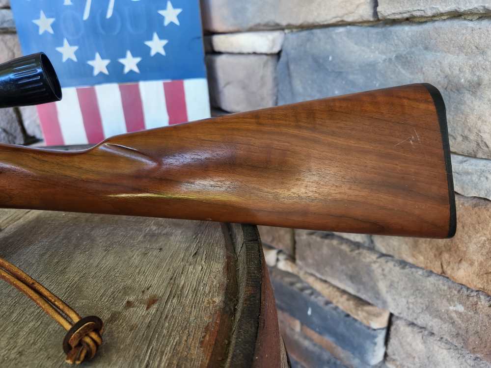 Colt stagecoach  -img-7