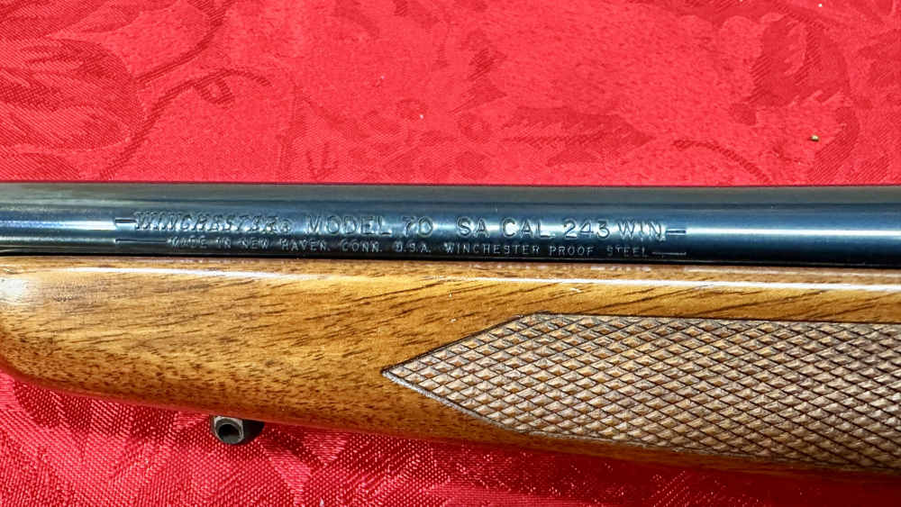 Winchester Model 70 SA .243 Win. Lightweight -img-6