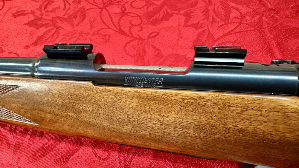 Winchester Model 70 SA .243 Win. Lightweight -img-11