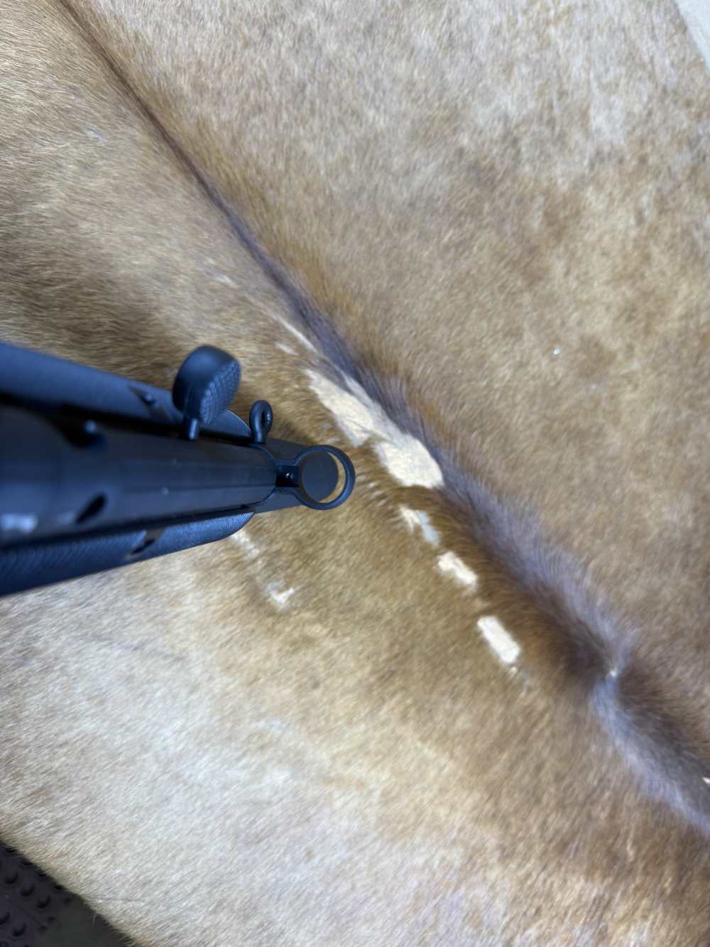 K MP5 .22 LR RIFLE 16.1" BARREL 25+1 W/ CLAW MOUNT & 3 MAGS-img-9