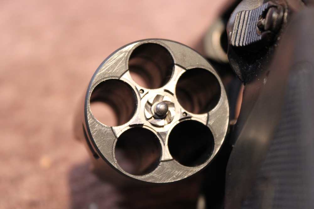 Charter Arms Bulldog Pug .44 spl 2.5" bbl Blued 5-Shot-img-14