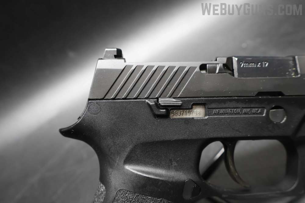 Sig Sauer P320 Semi-Automatic Pistol 9MMX19-img-4