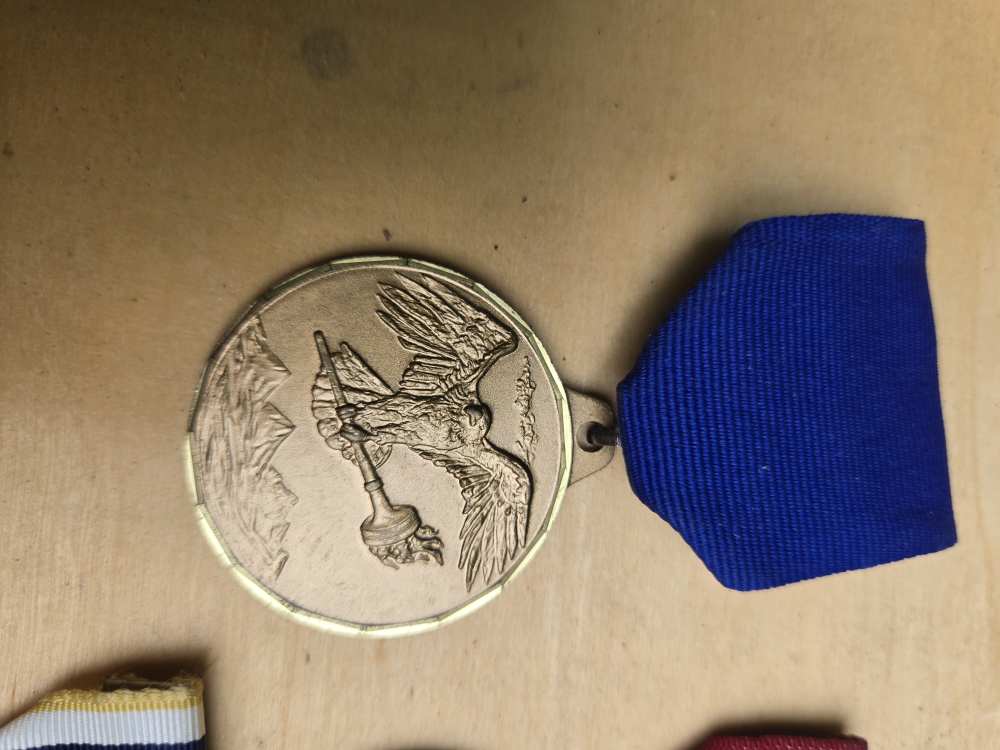 US Navy and military medal lot-img-4