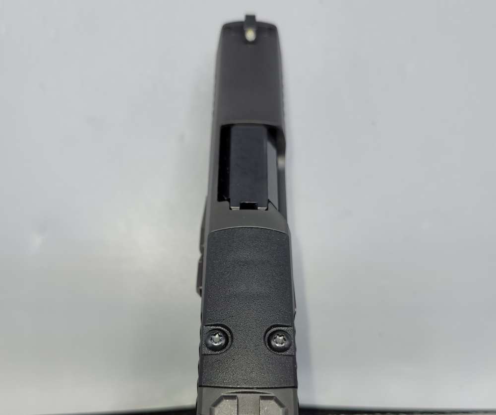 Sig Sauer P365 .380 ACP 3.1" Optic Ready-img-5